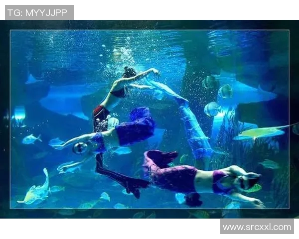 潜水泳装时尚潮流解析，打造舒适与美观并重的海底穿搭体验