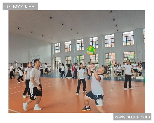 北京排球队总决赛表现分析：个人能力与团队协作的完美结合